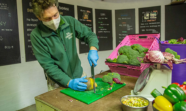Zookeeper Glynn Hennessy prepares breakfast for the gorillas