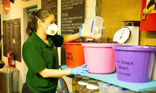 Zookeeper Kate Sanders prepares food for the animals